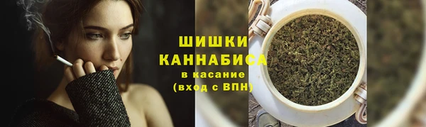 прущие грибы Волоколамск