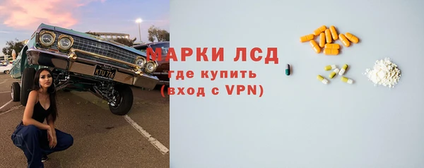 прущие грибы Волоколамск