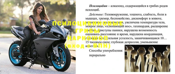 эйфоретик Вяземский