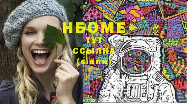 прущие грибы Волоколамск