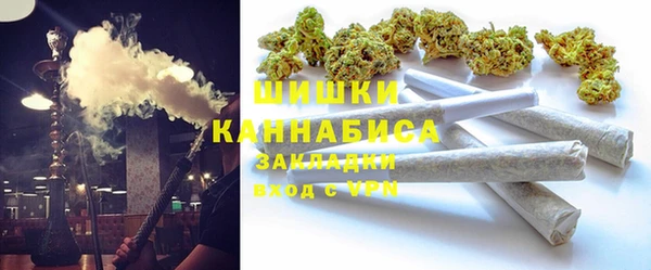 эйфоретик Вяземский