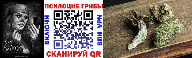Галлюциногенные грибы GOLDEN TEACHER  Купить закладки  Лахденпохья 